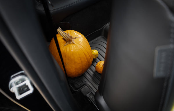 Findway Car Mat Warranty Terms: What Is Covered
